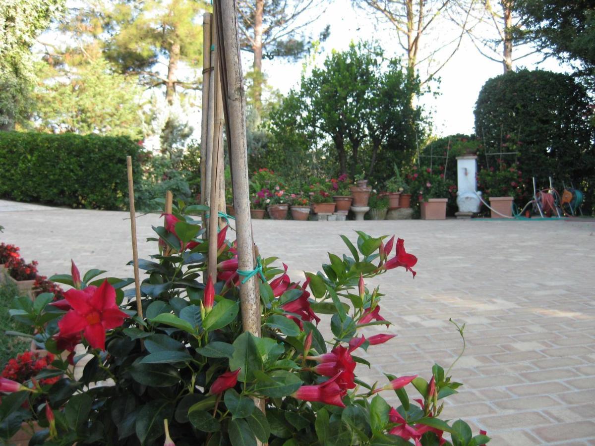 Bed and Breakfast Casa Dei Pini Country House Osimo Exterior foto